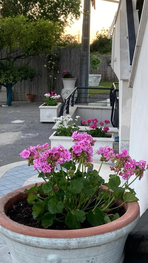 Pompei Gryllus Bed & Breakfast Dış mekan fotoğraf