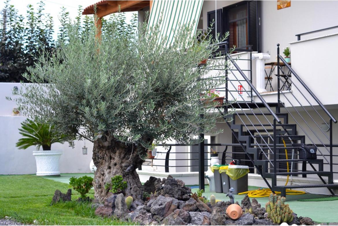 Pompei Gryllus Bed & Breakfast Dış mekan fotoğraf